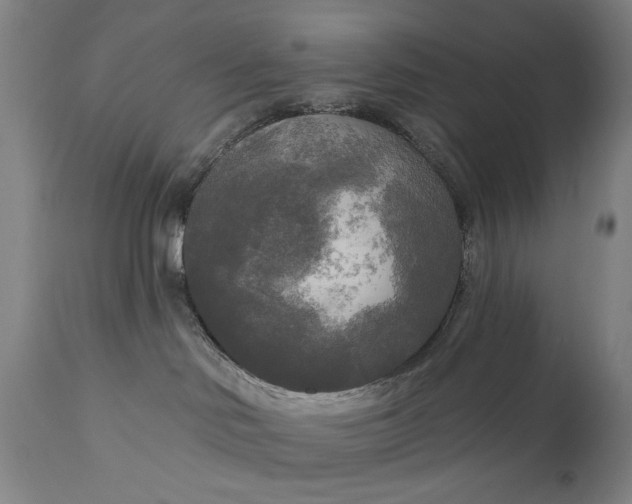 X0000111170046200907151310