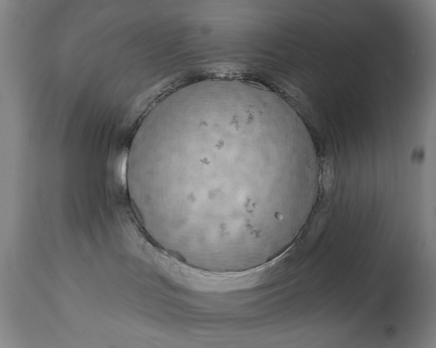 X0000111170047200907151310