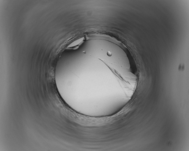 X0000111170048200907151310