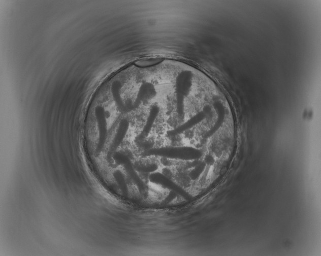 X0000111170049200907151309