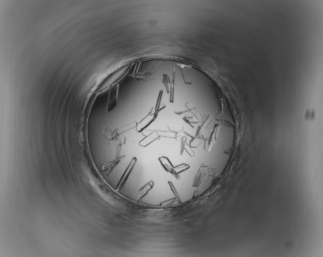 X0000111170050200907151309