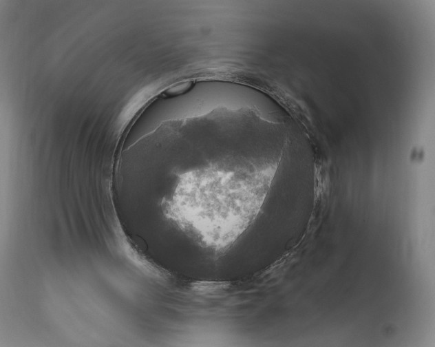 X0000111170051200907151309