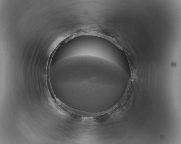 X0000111170052200907151309