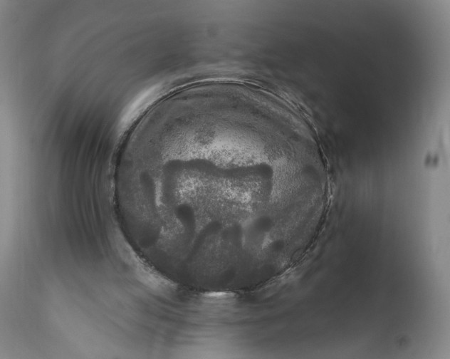 X0000111170053200907151309