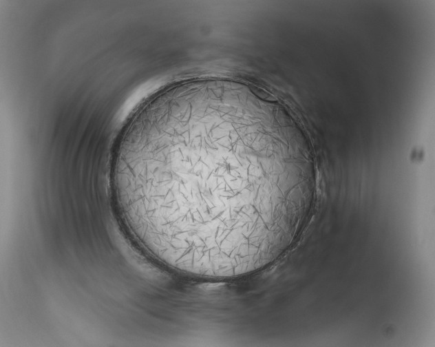 X0000111170054200907151309