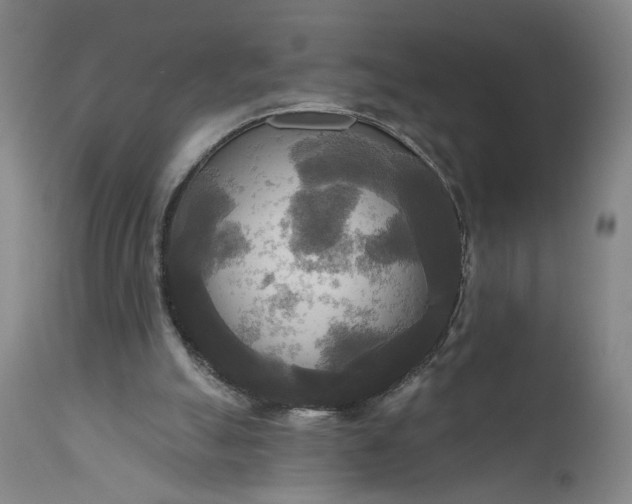 X0000111170055200907151309