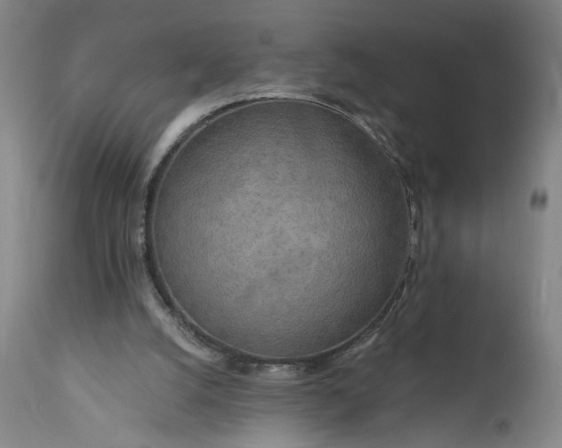 X0000111170056200907151309