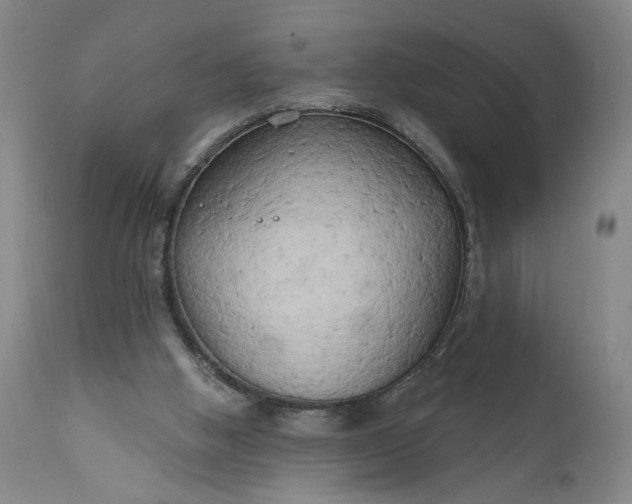 X0000111170058200907151309