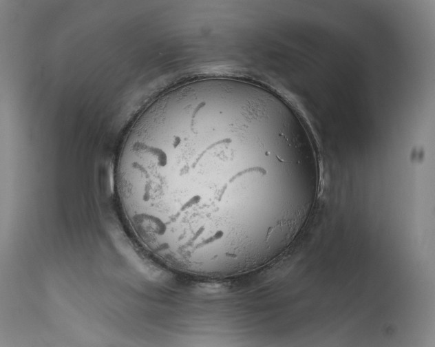 X0000111170061200907151309