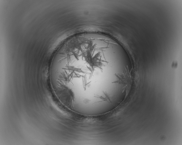 X0000111170063200907151309