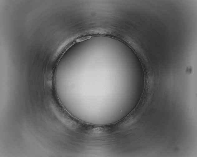 X0000111170064200907151309