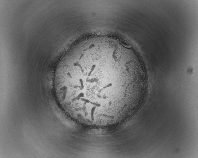 X0000111170065200907151309