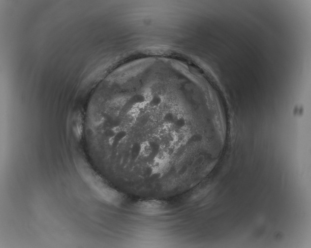 X0000111170069200907151309