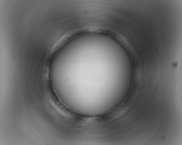 X0000111170072200907151309