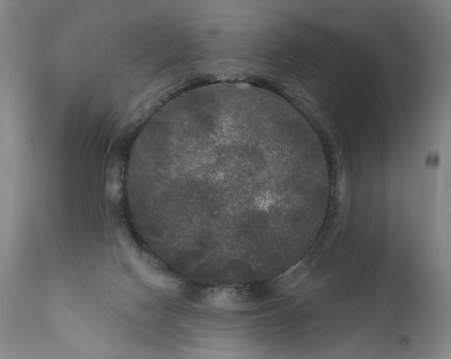 X0000111170074200907151309