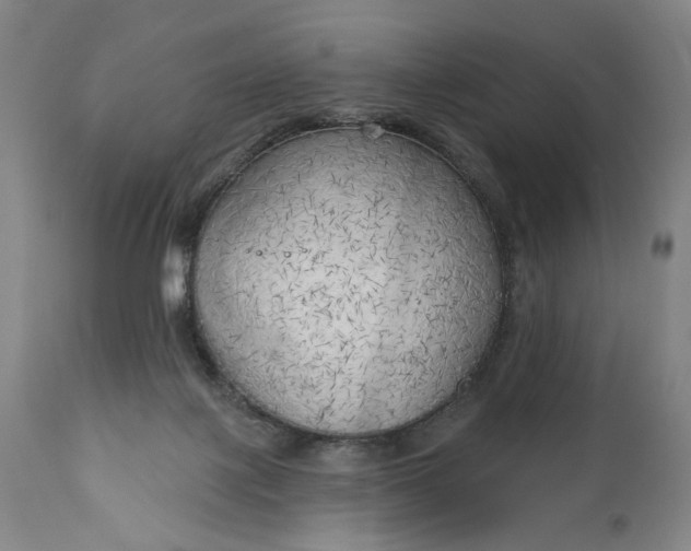 X0000111170075200907151309