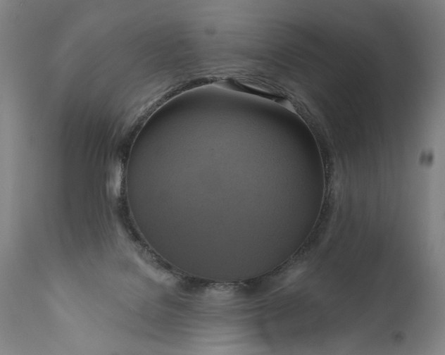 X0000111170076200907151309