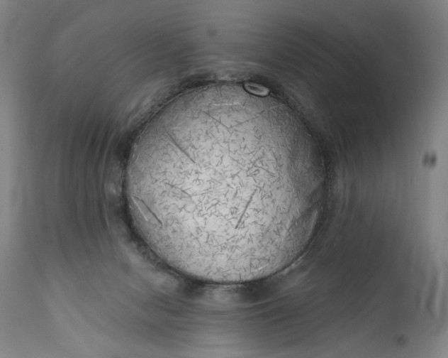 X0000111170078200907151309