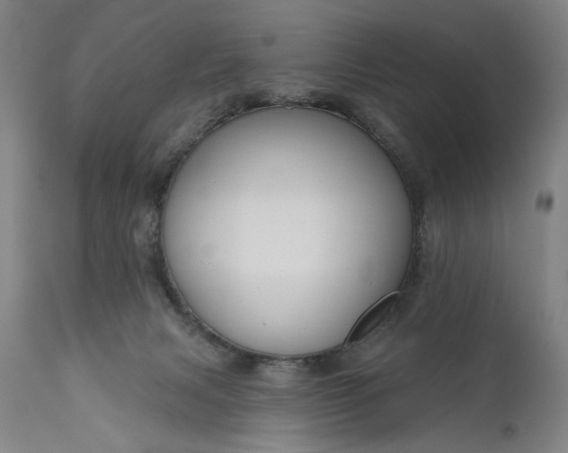 X0000111170079200907151309