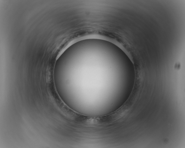 X0000111170080200907151309