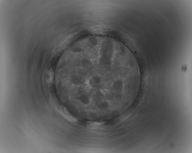 X0000111170081200907151309