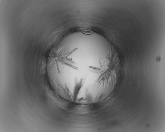 X0000111170082200907151309