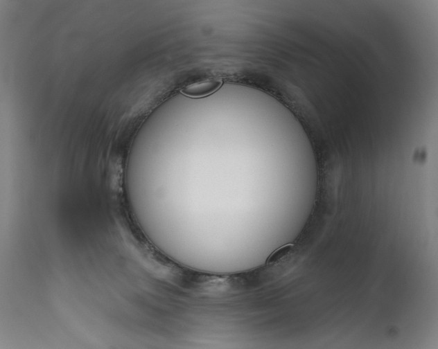 X0000111170083200907151310