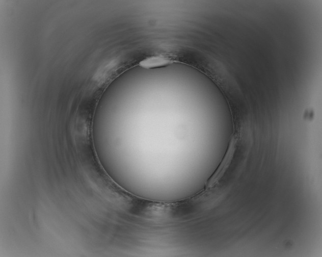 X0000111170084200907151310