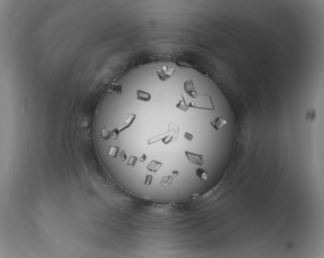 X0000111170086200907151310