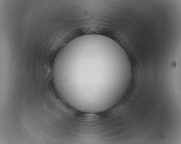 X0000111170087200907151310