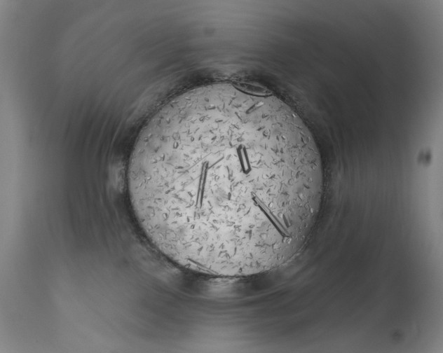 X0000111170090200907151310