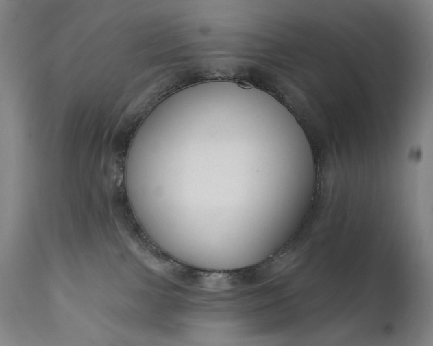 X0000111170091200907151310