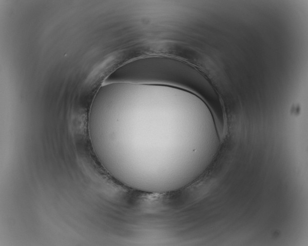 X0000111170092200907151310