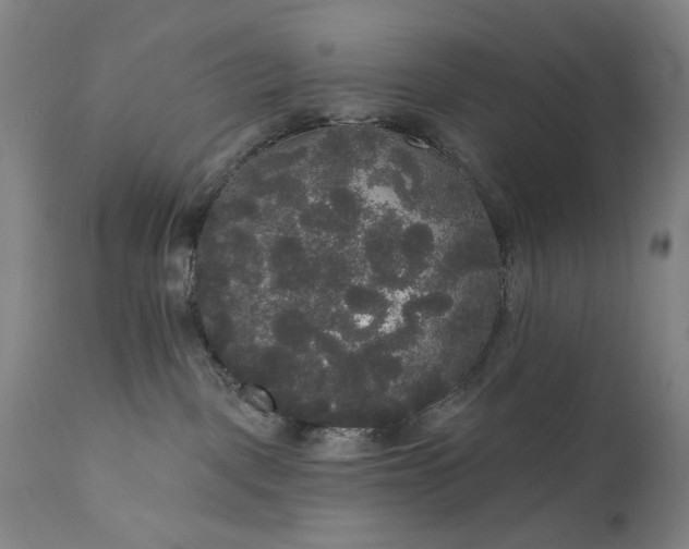 X0000111170093200907151310