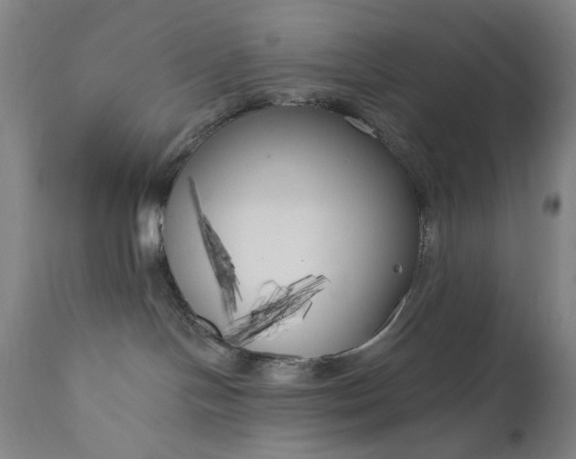 X0000111170094200907151310