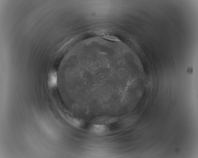 X0000111170095200907151310