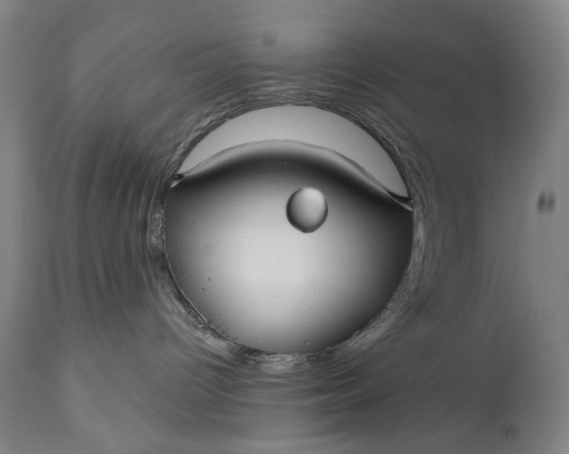 X0000111170096200907151310