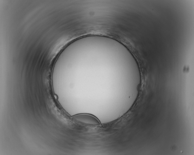 X0000111170098200907151309