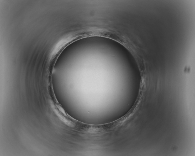 X0000111170101200907151309