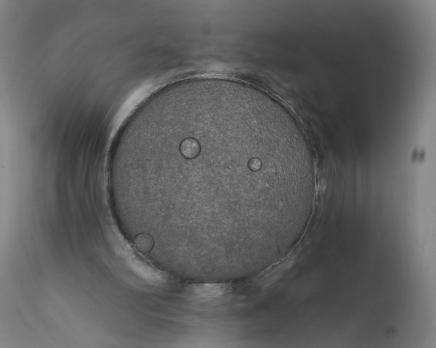 X0000111170102200907151309