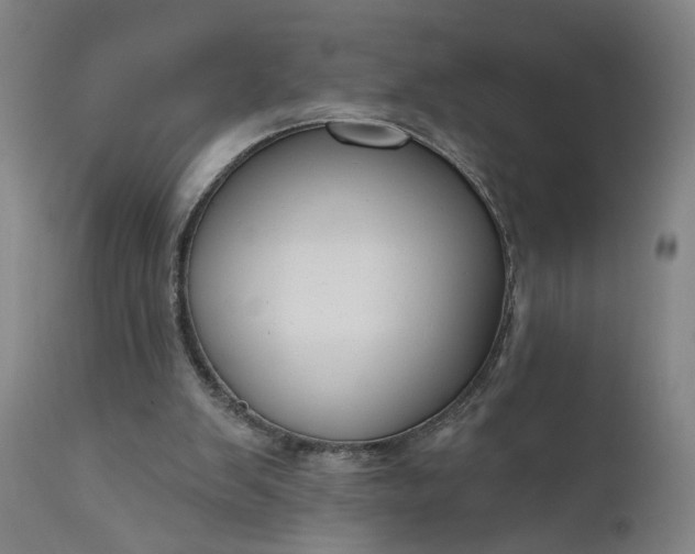 X0000111170103200907151309