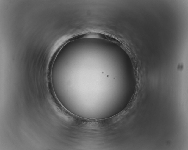 X0000111170104200907151309