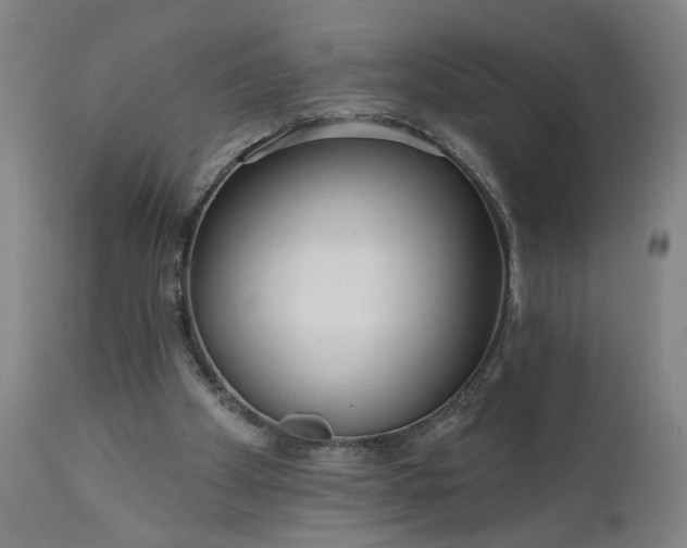 X0000111170105200907151309