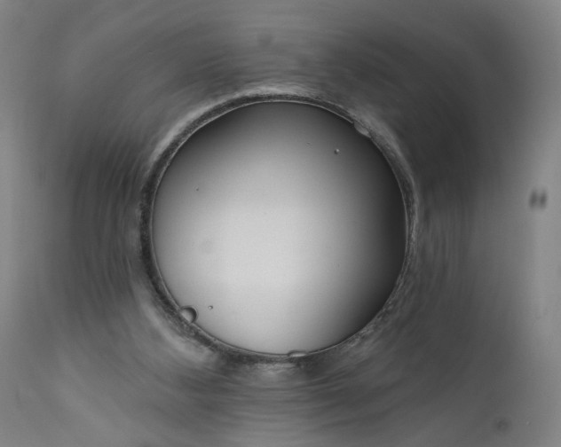 X0000111170108200907151309