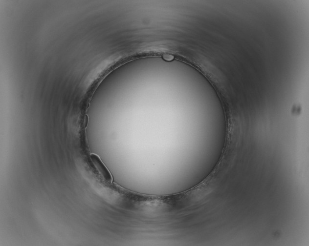 X0000111170112200907151309