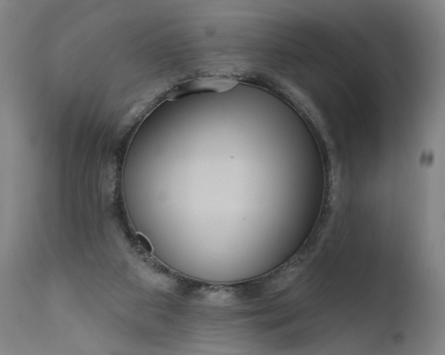 X0000111170113200907151309