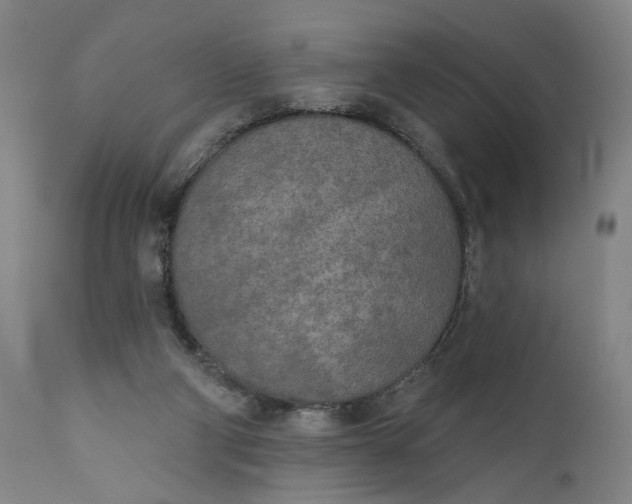 X0000111170114200907151309