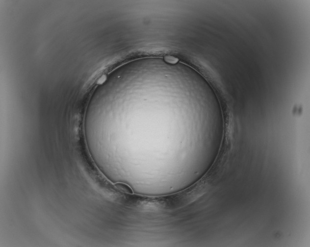 X0000111170115200907151309