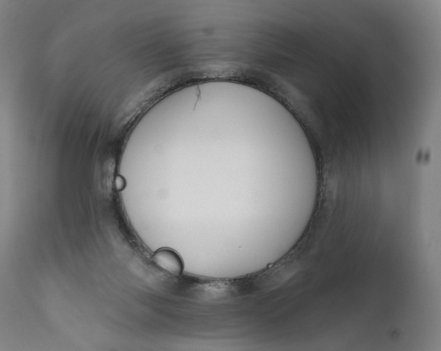 X0000111170118200907151309