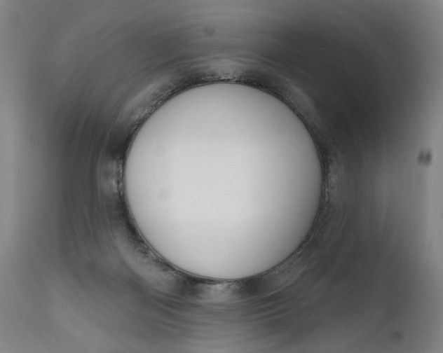 X0000111170122200907151309